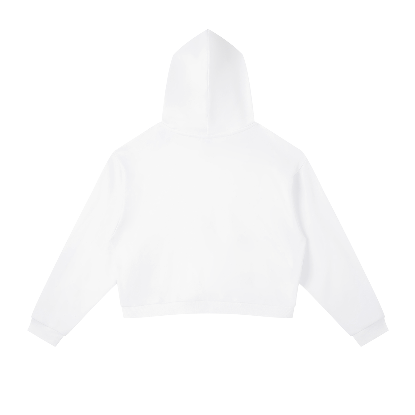 Carti Contrast Side Stripe Cropped Hoodie