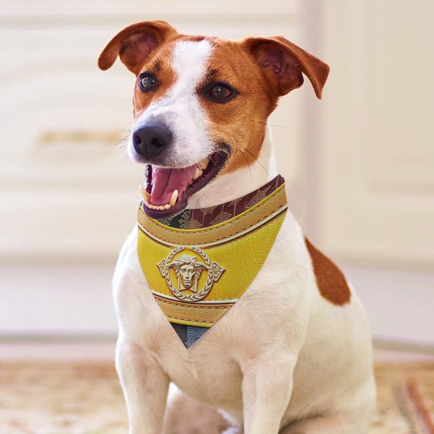 Customised Dog Bandana